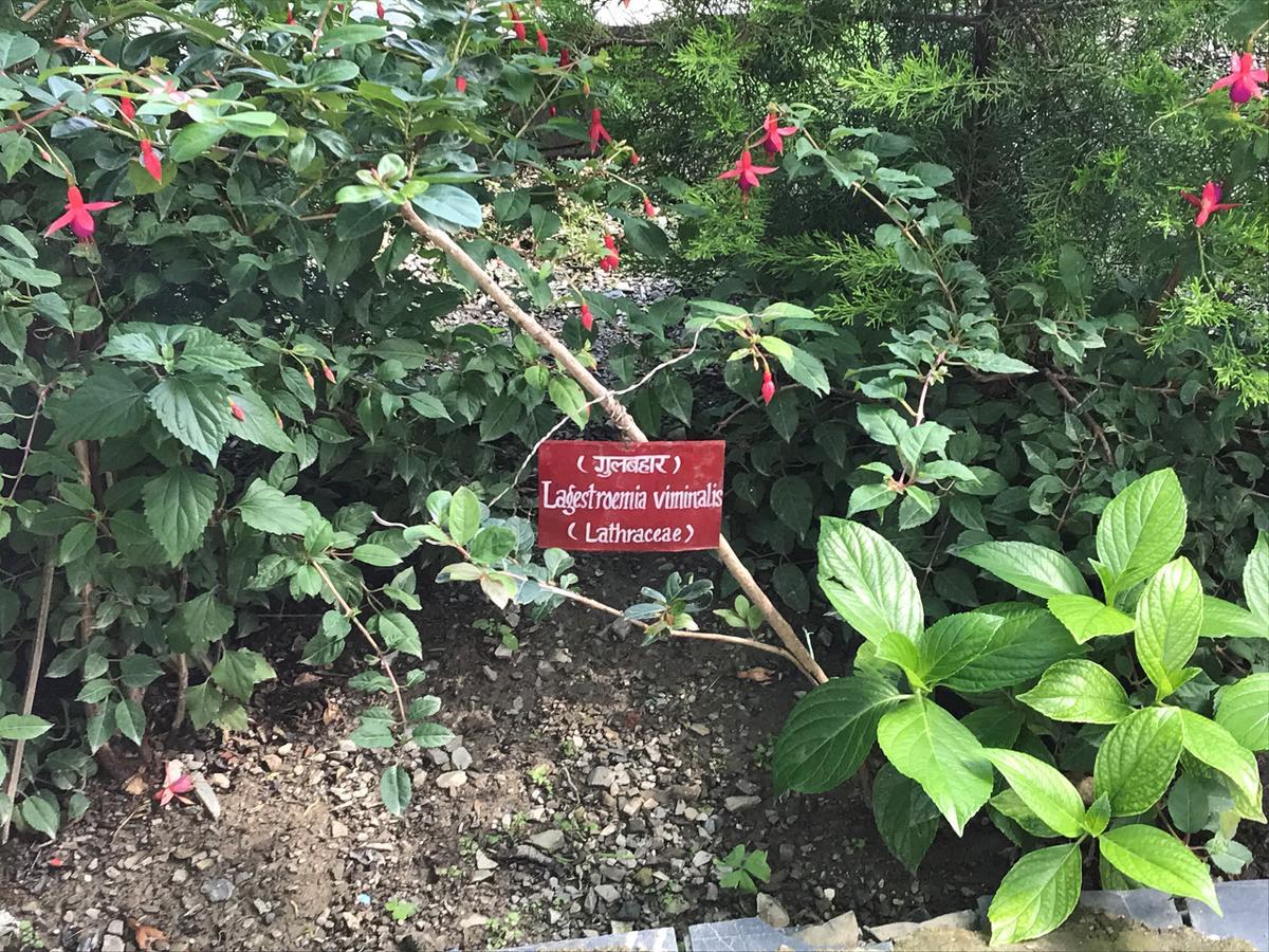 Welcomheritage Ashdale Nainital Exterior foto